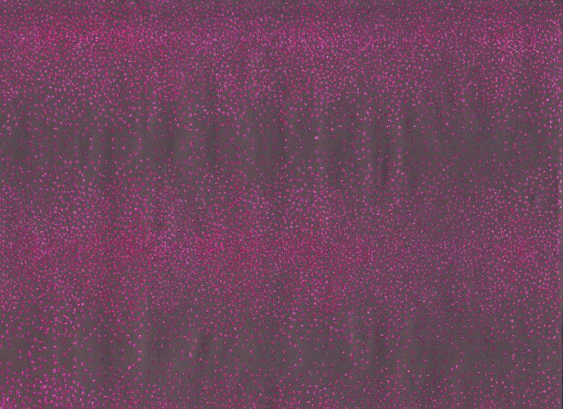 Glitterpapir Lots of Dots - pink 50 x 70 cm